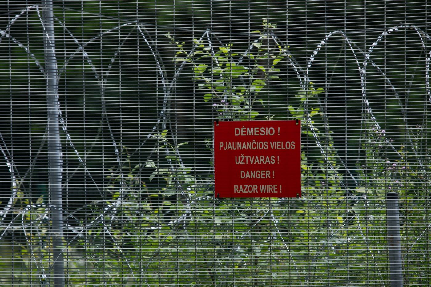 Pasieniečiai sulaikė dar 6, įtariama, su balionais skraidinta kontrabanda susijusius asmenis